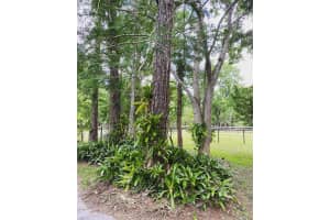2976 4TH STREET, ORLANDO, FL 32820 - MLS#MFRO6352223