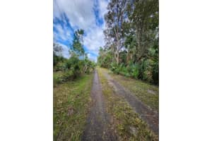 1560 SADDLE RUN DRIVE, OSTEEN, FL 32764 - MLS#MFRO6352276