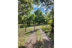 1560 SADDLE RUN DRIVE, OSTEEN, FL 32764 - MLS#MFRO6352276