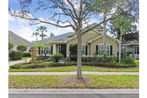 12010 SAN CHALIFORD COURT, TAMPA, FL 33626 - MLS#MFRO6352388