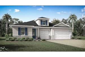 2609 Ginseng Ivy St, APOPKA 2609 Ginseng Ivy St, APOPKA