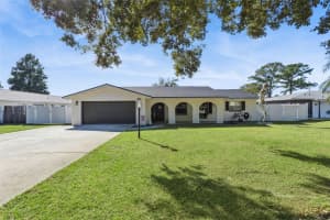 27922 TAMMI DRIVE, TAVARES, FL 32778 - MLS#MFRO6352517
