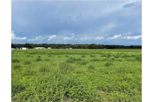 625 CHARLES OSBORNE RD, UMATILLA, FL 32784 - MLS#MFRO6352639