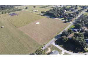 625 CHARLES OSBORNE RD, UMATILLA, FL 32784 - MLS#MFRO6352639