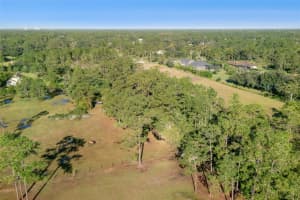 BABBITT AVE, ORLANDO, FL 32833 - MLS#MFRO6352786