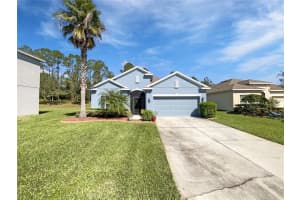 3263 PLUMLEE COURT, GRAND ISLAND, FL 32735 - MLS#MFRO6352821