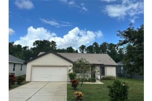2763 ATHENS DRIVE, LEESBURG, FL 34748 - MLS#MFRO6352983