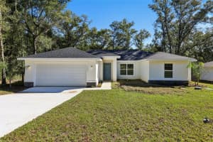 10687 ADLER DRIVE, CITRUS SPRINGS, FL 34434 - MLS#MFRO6353101
