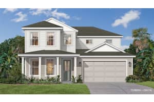 30293 RUSTIC MILL STREET, MOUNT DORA, FL 32757 - MLS#MFRO6353158