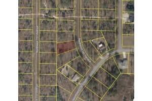 NE 151 TER, WILLISTON, FL 32696 - MLS#MFRO6353247