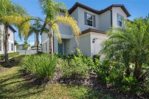 4435 Globe Thistle Dr, TAMPA 4435 Globe Thistle Dr, TAMPA