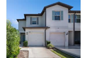 4435 GLOBE THISTLE DRIVE, TAMPA, FL 33619 - MLS#MFRO6353417