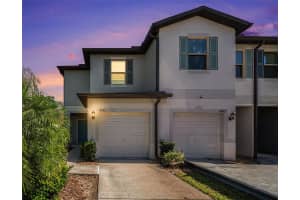 4435 GLOBE THISTLE DRIVE, TAMPA, FL 33619 - MLS#MFRO6353417