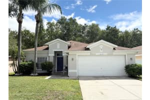 3137 Cranes Cove Loop, KISSIMMEE