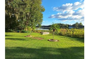 18136 STATE ROAD 52, LAND O LAKES, FL 34638 - MLS#MFRO6353499
