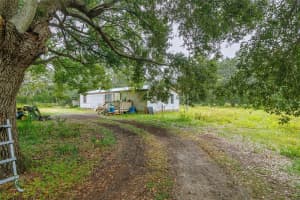 16201 122ND TERRACE, WEIRSDALE, FL 32195 Sold 10/29/25