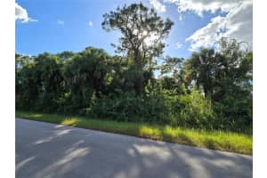 454 NAPLES AVENUE, LEHIGH ACRES, FL 33974 - MLS#MFRO6354037