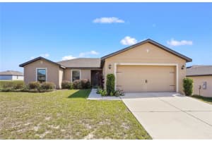 1180 Moyle Way, MASCOTTE