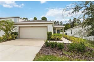 17391 MILLION LAKES COURT, CLERMONT, FL 34714 - MLS#MFRO6354135