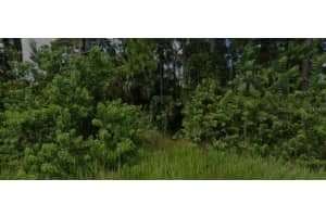 447 TRUMPET STREET, PALM BAY, FL 32908 - MLS#MFRO6354242