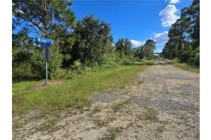 423 WILDER AVENUE, LEHIGH ACRES, FL 33974 - MLS#MFRO6354262
