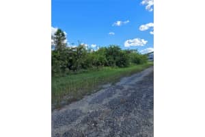 423 WILDER AVENUE, LEHIGH ACRES, FL 33974 - MLS#MFRO6354262