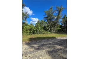 419 WILDER AVENUE, LEHIGH ACRES, FL 33974 - MLS#MFRO6354278