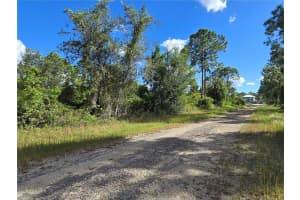 419 WILDER AVENUE, LEHIGH ACRES, FL 33974 - MLS#MFRO6354278