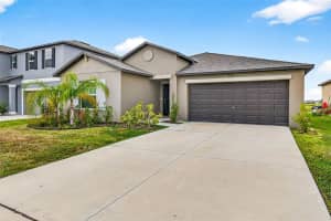 , WESLEY CHAPEL , WESLEY CHAPEL