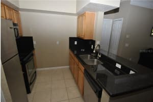 13103 MULBERRY PARK DRIVE, ORLANDO, FL 32821 - MLS#MFRO6354349