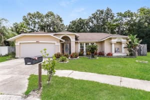 8461 Red Roe Dr, NEW PORT RICHEY