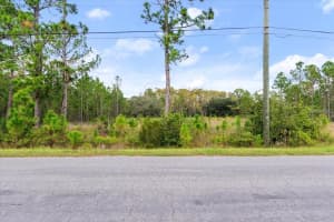 STARRY ST, ORLANDO, FL 32833 - MLS#MFRO6354391