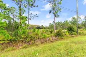 STARRY ST, ORLANDO, FL 32833 - MLS#MFRO6354391