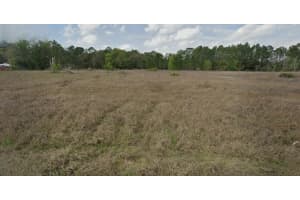 SW 151ST CT, OCALA, FL 34481 - MLS#MFRO6354426