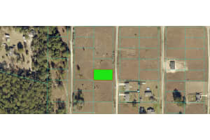 SW 151ST CT, OCALA, FL 34481 - MLS#MFRO6354426