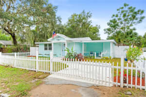 245 RHODES STREET, MOUNT DORA, FL 32757 - MLS#MFRO6354449