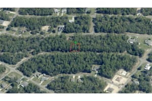 899 BANNISTER DRIVE, CITRUS SPRINGS, FL 34434 - MLS#MFRO6354470