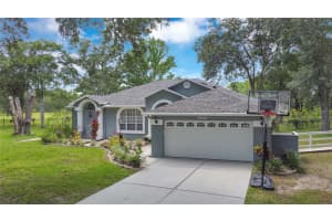 19616 LIVINGSTON AVENUE, LUTZ, FL 33559 - MLS#MFRO6354500