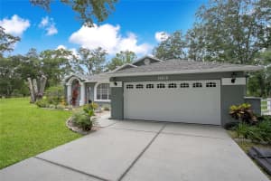 19616 LIVINGSTON AVENUE, LUTZ, FL 33559 - MLS#MFRO6354500