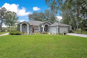 19616 LIVINGSTON AVENUE, LUTZ, FL 33559 - MLS#MFRO6354500