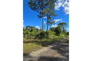 421 WILDER AVENUE, LEHIGH ACRES, FL 33974 - MLS#MFRO6354605