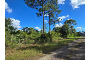 421 WILDER AVENUE, LEHIGH ACRES, FL 33974 - MLS#MFRO6354605