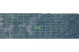 DILL RD, ORLANDO, FL 32820 - MLS#MFRO6354841