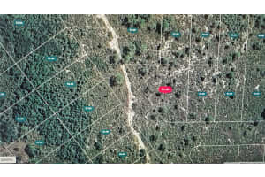 1400 CHICKADEE STREET, LAKE PLACID, FL 33852 - MLS#MFRO6354886