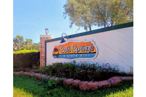 25164 140TH LOOP, FORT MC COY, FL 32134 - MLS#MFRO6355329