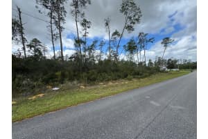 4354 FINDLAY STREET, CITRUS SPRINGS, FL 34433 Sold 01/26/26