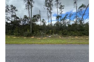 4354 FINDLAY STREET, CITRUS SPRINGS, FL 34433 Sold 01/26/26