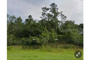 E COLONIAL DR, ORLANDO, FL 32820 - MLS#MFRO6355448