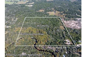 34095 HYATT RD, DADE CITY, FL 33523 - MLS#MFRO6355486