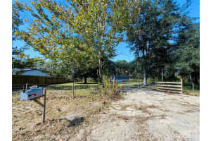 11651 82ND STREET, MORRISTON, FL 32668 - MLS#MFRO6355518